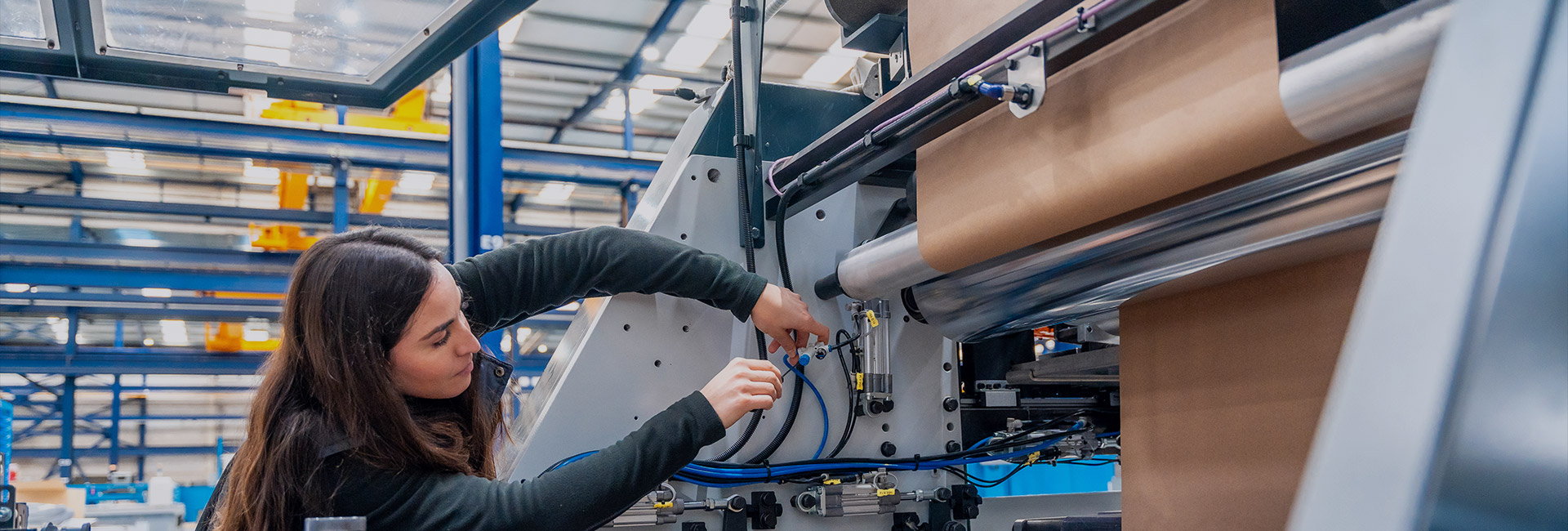 Verpackungsindustrie Precision Rollers